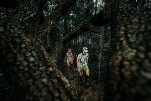 BIB: 
                            <button type="button" onclick="openModal(25680762)" class="btn btn-primary btn-sm float-right btn-popup" data-toggle="modal" data-target=".modal-high-quality">
                        <i class="fas fa-shopping-cart"></i> Add to Cart
                    </button>
                                            <button type="button" onclick="isThisMe(25680762, true)" class="btn btn-success btn-sm float-right btn-popup btn-isme hidden" data-toggle="tooltip" data-placement="bottom" title="นี่คือรูปของคุณใช่ไหม คลิกที่นี่เพื่อเอาเข้าอัลบั้ม">
                        <i class="fas fa-plus"></i> Add to album
                    </button>
                    <button type="button" onclick="isThisMe(25680762, false)" class="btn btn-warning btn-sm float-right btn-popup btn-isnotme hidden">
                        <i class="fas fa-ban"></i> Remove from album
                    </button>